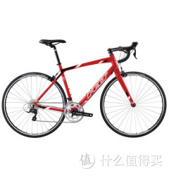 FELT Z95 14款 入门级 公路车