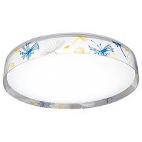 HAIDE 海德照明 夏花 LED吸顶灯  20W 白光