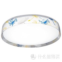 HAIDE 海德照明 夏花 LED吸顶灯  20W 白光