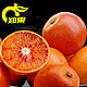 郑果 塔罗科血橙礼盒   红肉红心橙子 16粒约5斤