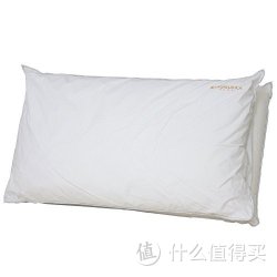 CASABLANCA 卡撒天娇 炫影枕 40*70CM 双层枕芯