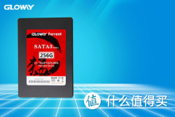 GLOWAY 光威 256G 台式机笔记本 固态硬盘SSD 240G