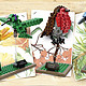 新补货：LEGO 乐高 iDEAS系列 21301 Birds Model Kit