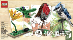 新补货：LEGO 乐高 iDEAS系列 21301 Birds Model Kit