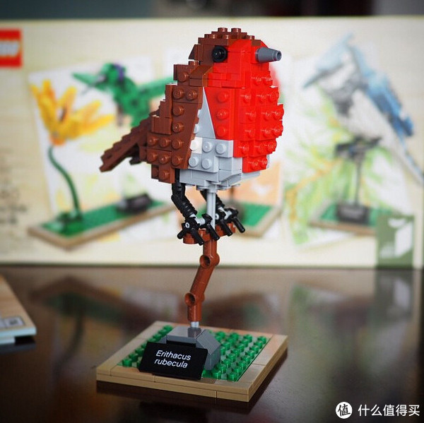 新补货：LEGO 乐高 iDEAS系列 21301 Birds Model Kit