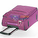 AMERICAN TOURISTER 美旅箱包 Z86*09001拉杆箱55cm紫色/黑色
