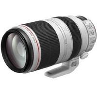 Canon 佳能 EF 100-400mm f/4.5-5.6L IS II USM 远摄变焦镜头
