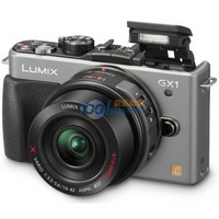 Panasonic 松下 DMC-GX1XGK  微型可换镜头套机（X 14-42mm）银色