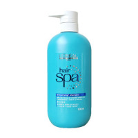限华南西南：L'OREAL PARIS 巴黎欧莱雅 丝泉净化 洗发水 600ml*2瓶+凑单品
