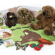 tchy Bear Storysack儿童情景故事玩具