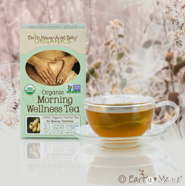 Earth Mama Angel Baby 地球妈妈 Organic Morning Wellness Tea 晨起舒缓茶(16袋*3盒)