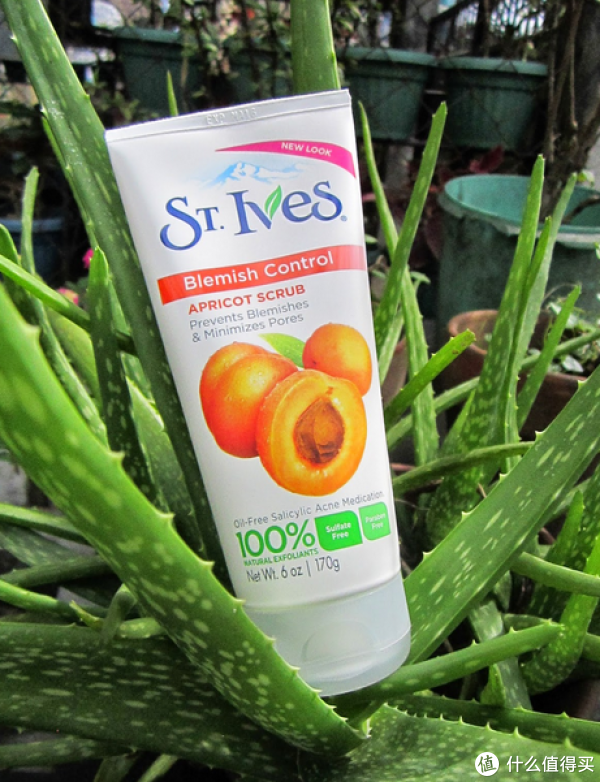 凑单品:ST. Ives 圣艾芙 Blemish Control Apricot 杏子面膜磨砂膏 170g