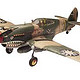 Revell P-40B Tiger Shark  1:48模型