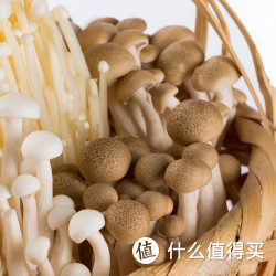 菌菇组合套包 950g