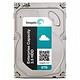 SEAGATE 希捷 ST6000NM0024 6TB 7200转 128M SATA6GB/秒 企业级硬盘