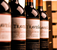 干露酒庄 TRAVESIA Carmenere 远航佳美娜 红葡萄酒 750ml