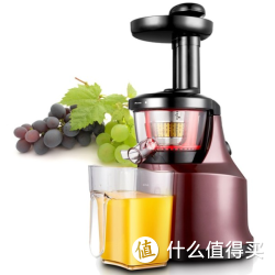 AUCMA 澳柯玛 SZ20L2 原汁机
