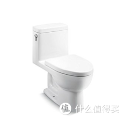 KOHLER 科勒 K-3856T-S 瑞琦4.2升 “五级旋风绿能”连体座便器