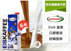 Hochwald好沃德冰咖啡牛奶混合饮料1L*6