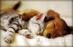 你睡的好吗？促进睡眠的好物分享