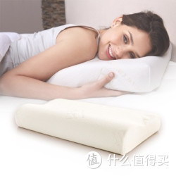 HONEYWEST 汉妮威 记忆棉护颈枕 8HP881000