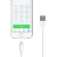 SNOWKIDS 全新ios7升级版苹果Lightning闪电接口充电数据线 1米版 白色