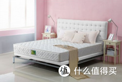 穗宝 新南国之春 3D椰棕 宝耐尔弹簧专业承托  床垫席梦思100cm*190cm*22cm