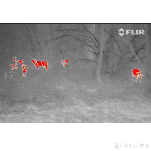 FLIR Scout PS24 手持热成像仪