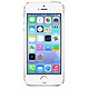 Apple 苹果 iPhone 5s（16GB）（金）移动联通4G手机