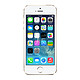 限地区：Apple 苹果 iPhone 5s 16G 4G手机 金色 移动联通两网通用公开版
