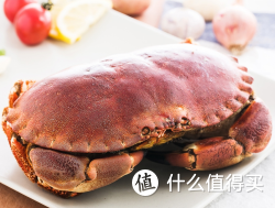 Fresh Catch 英国黄金蟹 600-800g