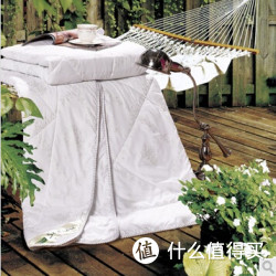 FUANNA 富安娜 圣之花  单双人空调被 白色 1.5m(203*229cm))