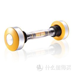 DYACO 岱宇 男式 SHAKEWEIGHT 可调节阻力 哑铃 6分钟摇摆哑铃 金可调节摇摆 金色