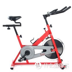 SUNNY HEALTH &amp; FITNESS SF-B1001  专业家用动感单车 红色