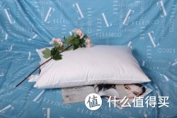 ELLE DECO 3011000360 舒眠枕 48*73cm