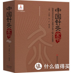 《中国针灸全书》