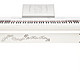 CASIO 卡西欧 PX-150KT Kitty40周年纪念款88键重锤数码钢琴 含（琴架、三踏板）  白色