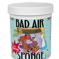 新补货：BAD AIR SPONGE Odor Neutralizer 空气净化剂 400g