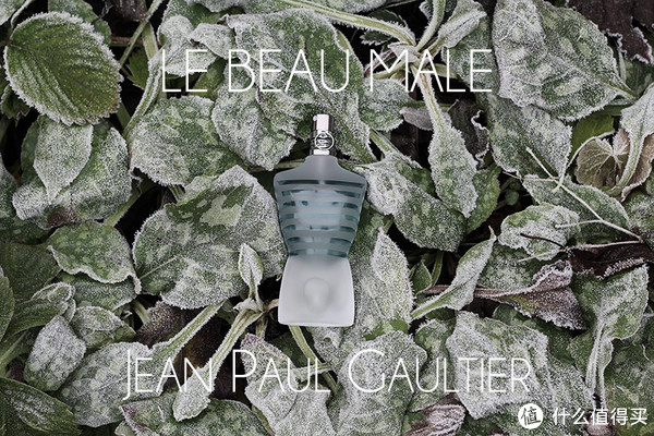 Jean Paul GAULTIER Le Beau Male 冰风暴 男士淡香水（125ml）