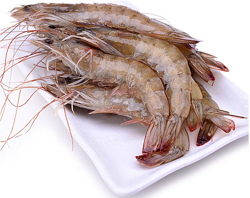 Vanoni‘s 厄瓜多尔白虾60-70头 约2kg/盒
