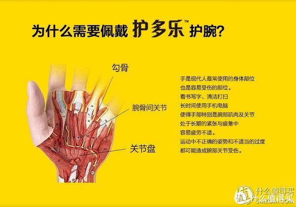 FUTURO 护乐多 Deluxe Thumb Stabilizer 拇指支撑套 中号/小号