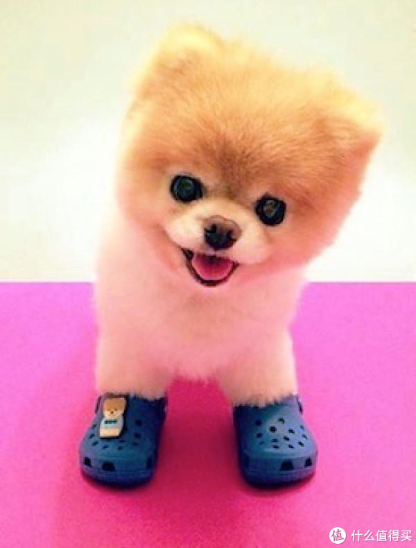 DEAL OF THE DAY：美国亚马逊 crocs精选鞋子