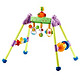 澳贝（AUBY） 益智玩具 音乐健身架 婴幼儿童运动早教启智 0-6个月 463302DS