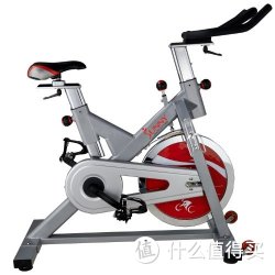 SUNNY HEALTH&amp;FITNESS 家用动感单车 SF-B1110S （110*50.5*119cm）