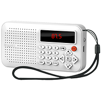 凡丁 F-1插卡音箱便携式收音机播放器