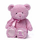 Gund My First Teddy Bear Baby Stuffed Animal 泰迪熊 10英寸