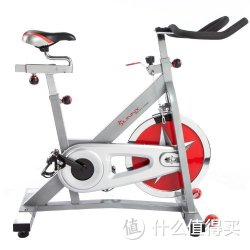 SUNNY HEALTH &amp; FITNESS SF-B901 家用超静音动感单车