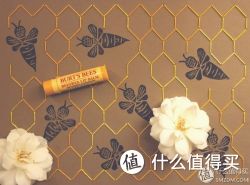 凑单品：Burt's Bees 小蜜蜂 Lip Balm Beeswax 蜂蜡润唇膏（4.25g*4支装）