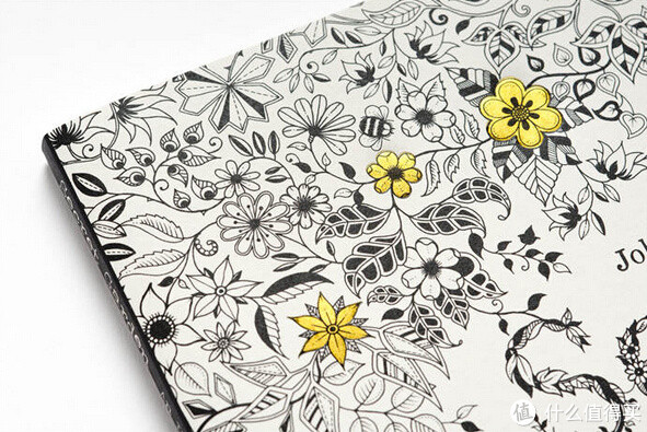 《秘密花园》+《魔法森林》手绘涂色书套装（送色彩日记）