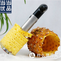 当当优品 菠萝削皮器 黑色